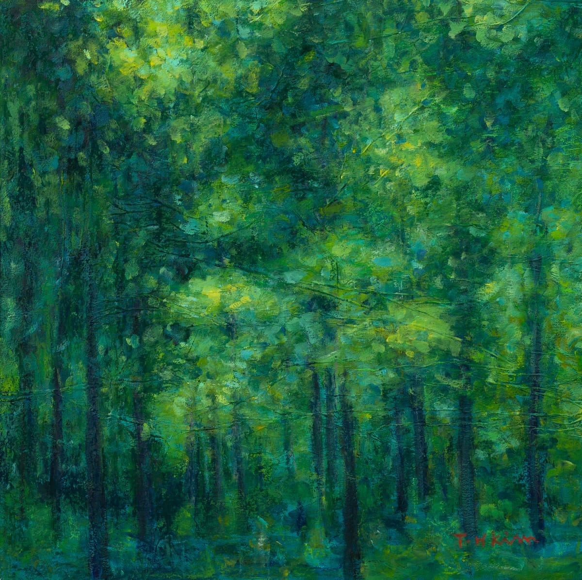 숲, 그 길에 서면