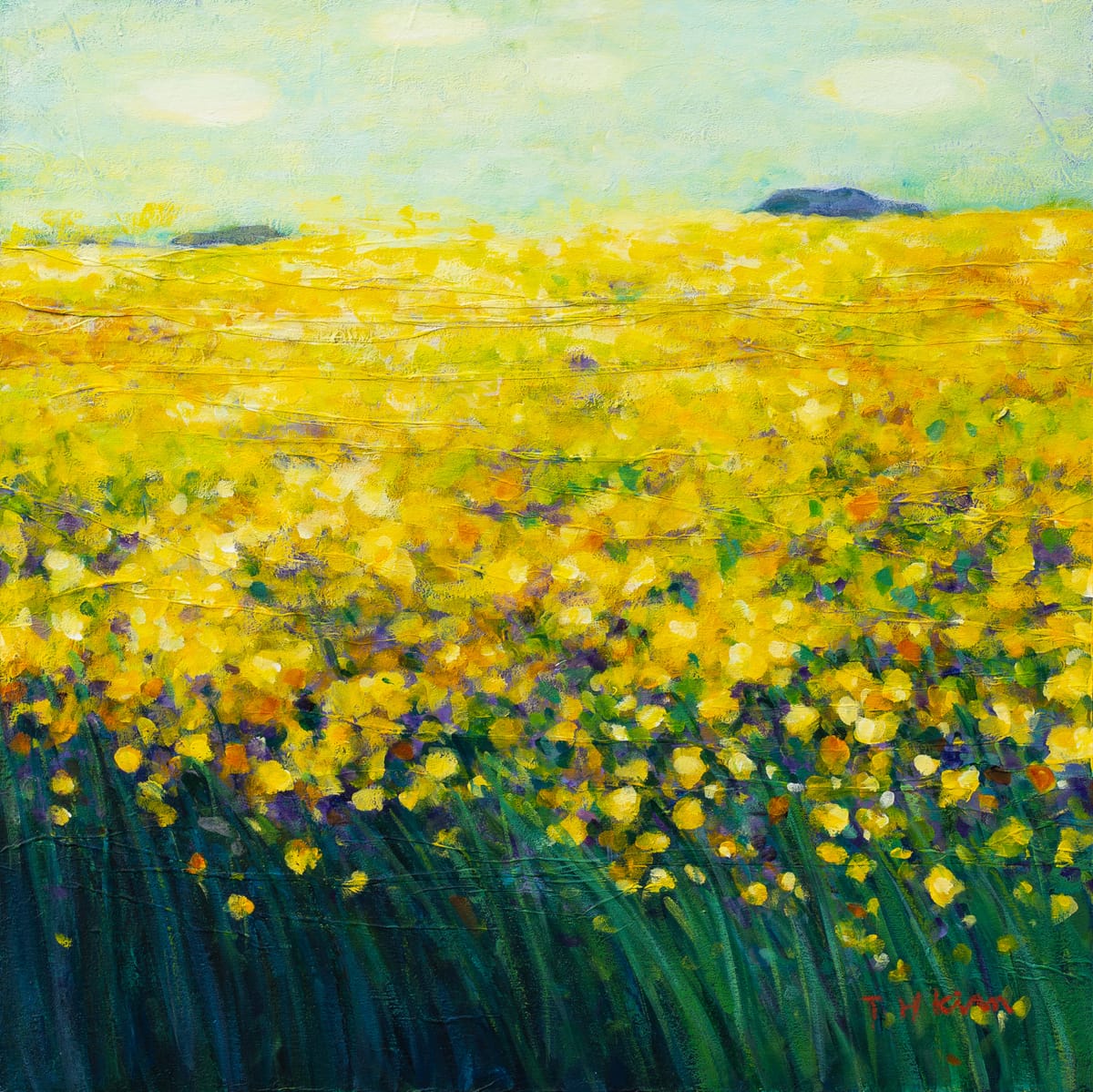 바람이 머무는 자리에